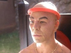 Фото - Kamel Krifa: 240x180 / 9 Кб