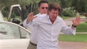 Фото - William Haze: 347x195 / 14 Кб