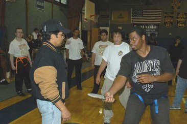 Фото - Michael Depasquale Jr.: 366x244 / 22 Кб