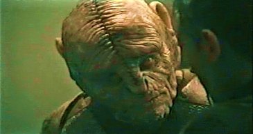 Фото - Бретт Рикаби: 365x194 / 15 Кб