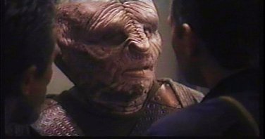 Фото - Бретт Рикаби: 376x198 / 12 Кб