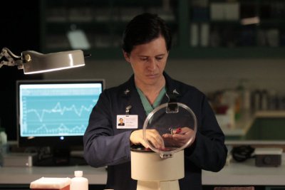 Фото - Клифтон Коллинз мл.: 400x267 / 18 Кб