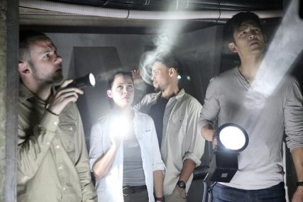 Фото - Доминик Монаган : 427x285 / 27 Кб