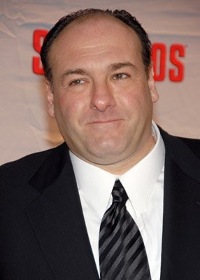 Фото - Джеймс Гандольфини: 286x400 / 20 Кб