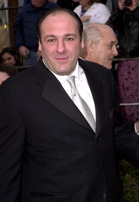 Фото - Джеймс Гандольфини: 275x400 / 18 Кб