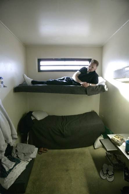 Фото - Морган Сперлок: 444x666 / 33 Кб