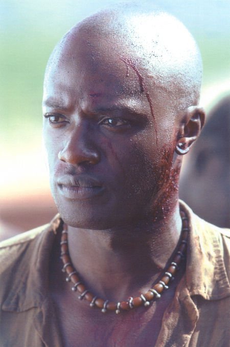 Фото - Сэмми Ротиби: 450x677 / 49 Кб