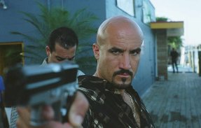 Фото - Мэтт Галлини: 287x183 / 12 Кб