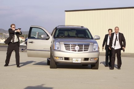 Фото - Доминик Перселл: 435x290 / 25 Кб