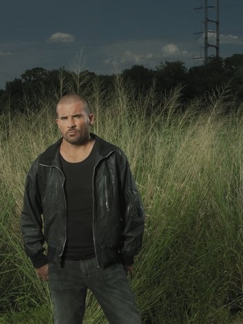 Фото - Доминик Перселл: 351x468 / 35 Кб