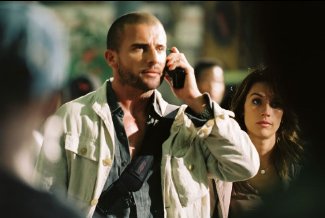 Фото - Доминик Перселл: 325x218 / 17 Кб