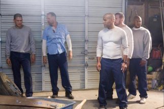 Фото - Доминик Перселл: 323x215 / 19 Кб