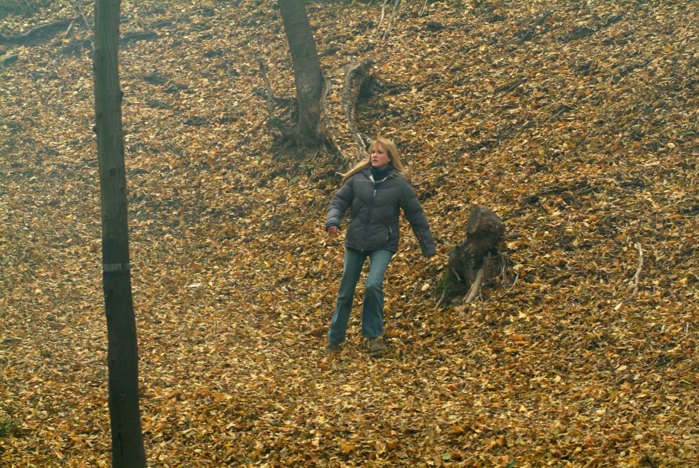 Фото - Лори Херинг: 2400x1606 / 1094 Кб