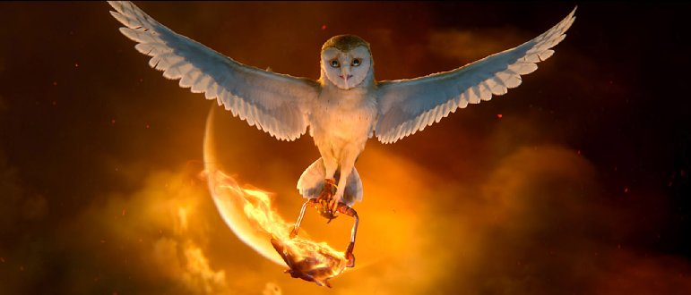 Фото - Джим Стерджесс: 771x330 / 31 Кб