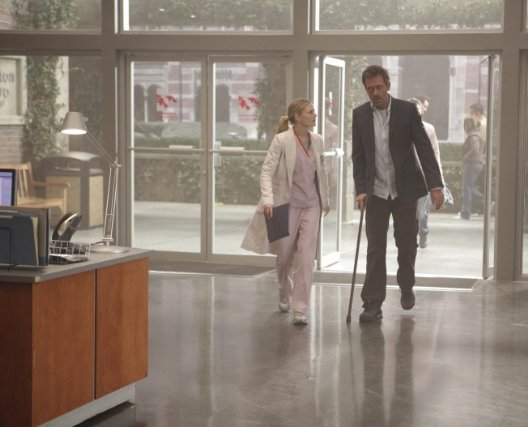 Фото - Дженнифер Моррисон: 528x427 / 39 Кб