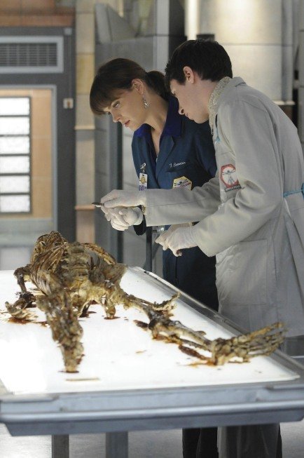 Фото - Эмили Дешанель: 434x653 / 54 Кб