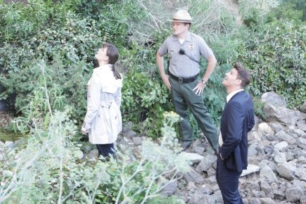 Фото - Эмили Дешанель: 435x290 / 51 Кб