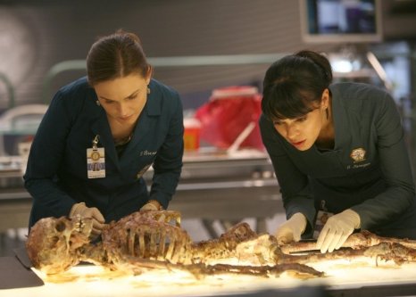 Фото - Эмили Дешанель: 466x333 / 30 Кб