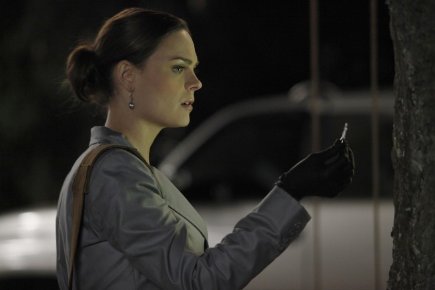 Фото - Эмили Дешанель: 435x290 / 16 Кб