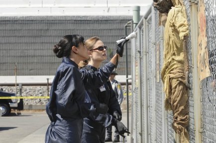 Фото - Эмили Дешанель: 434x288 / 37 Кб