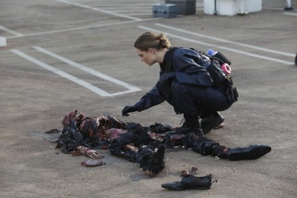 Фото - Эмили Дешанель: 435x290 / 27 Кб