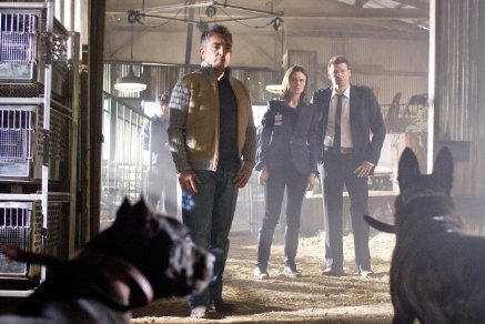 Фото - Эмили Дешанель: 437x292 / 34 Кб