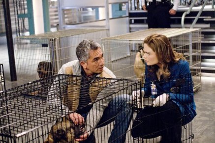 Фото - Эмили Дешанель: 437x292 / 44 Кб