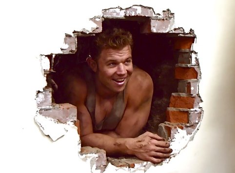 Фото - Райан Херст: 482x355 / 29 Кб