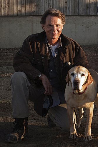 Фото - Брюс Гринвуд: 333x500 / 37 Кб