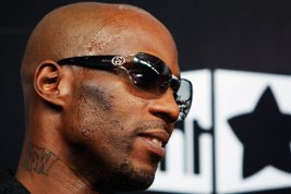 Фото - DMX: 267x178 / 11 Кб