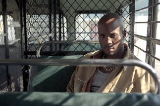 Фото - DMX: 323x215 / 22 Кб