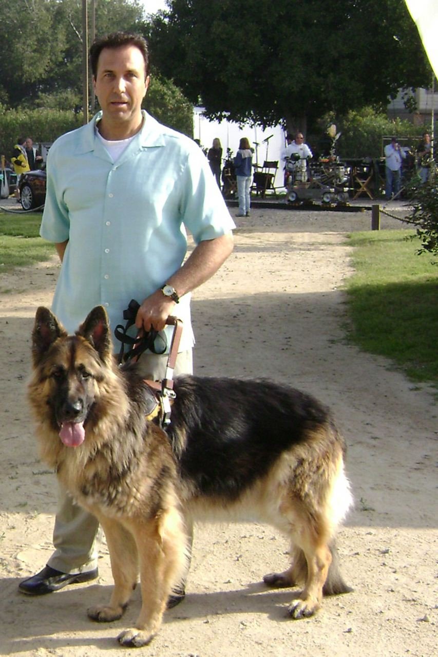 Фото - Andre Alexsen: 853x1279 / 187 Кб