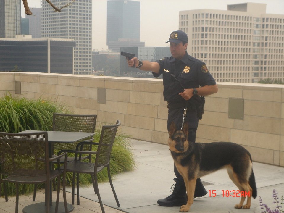 Фото - Andre Alexsen: 960x720 / 114 Кб