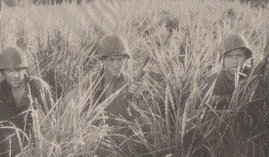 Фото - Эри Вервин: 269x157 / 15 Кб