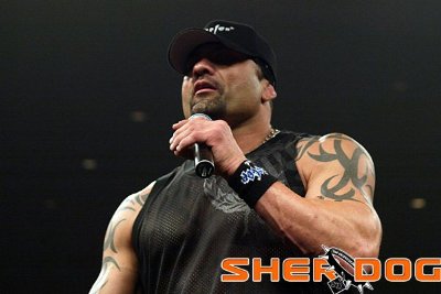 Фото - Kimo Leopoldo: 400x267 / 20 Кб