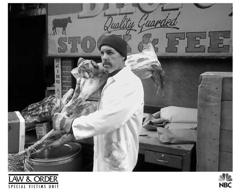 Фото - Michael Harkins: 800x640 / 81 Кб