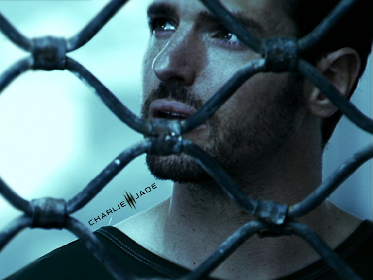 Фото - Джеффри Пирс: 768x576 / 56 Кб