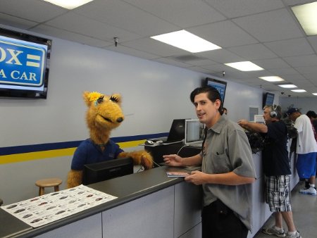 Фото - Michael Beardsley: 450x338 / 31 Кб