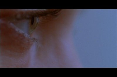 Фото - Traci Ann Wolfe: 399x265 / 9 Кб