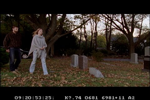 Фото - Traci Ann Wolfe: 480x320 / 38 Кб