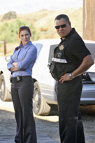 Фото - Кэти Сакхофф: 334x500 / 38 Кб