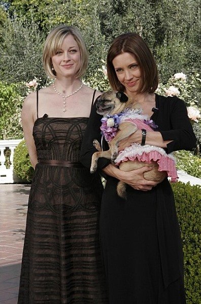 Фото - КаДи Стрикленд: 396x599 / 78 Кб