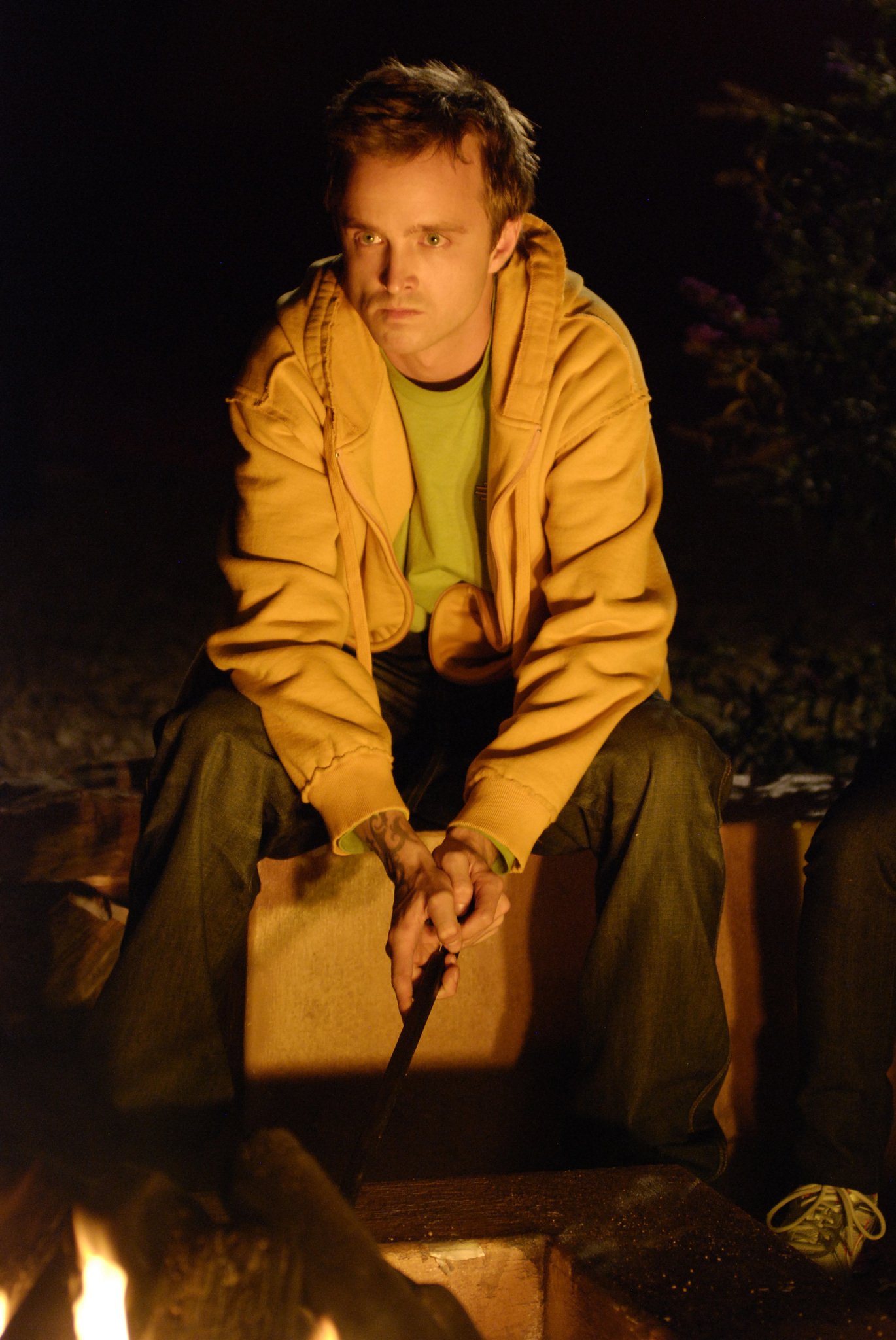 Фото - Аарон Пол: 1370x2048 / 331 Кб