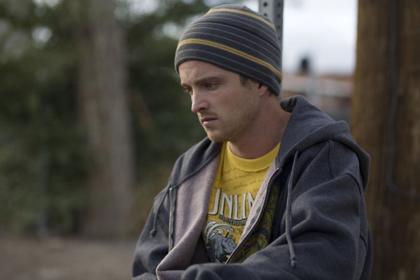 Фото - Аарон Пол: 1365x910 / 117 Кб