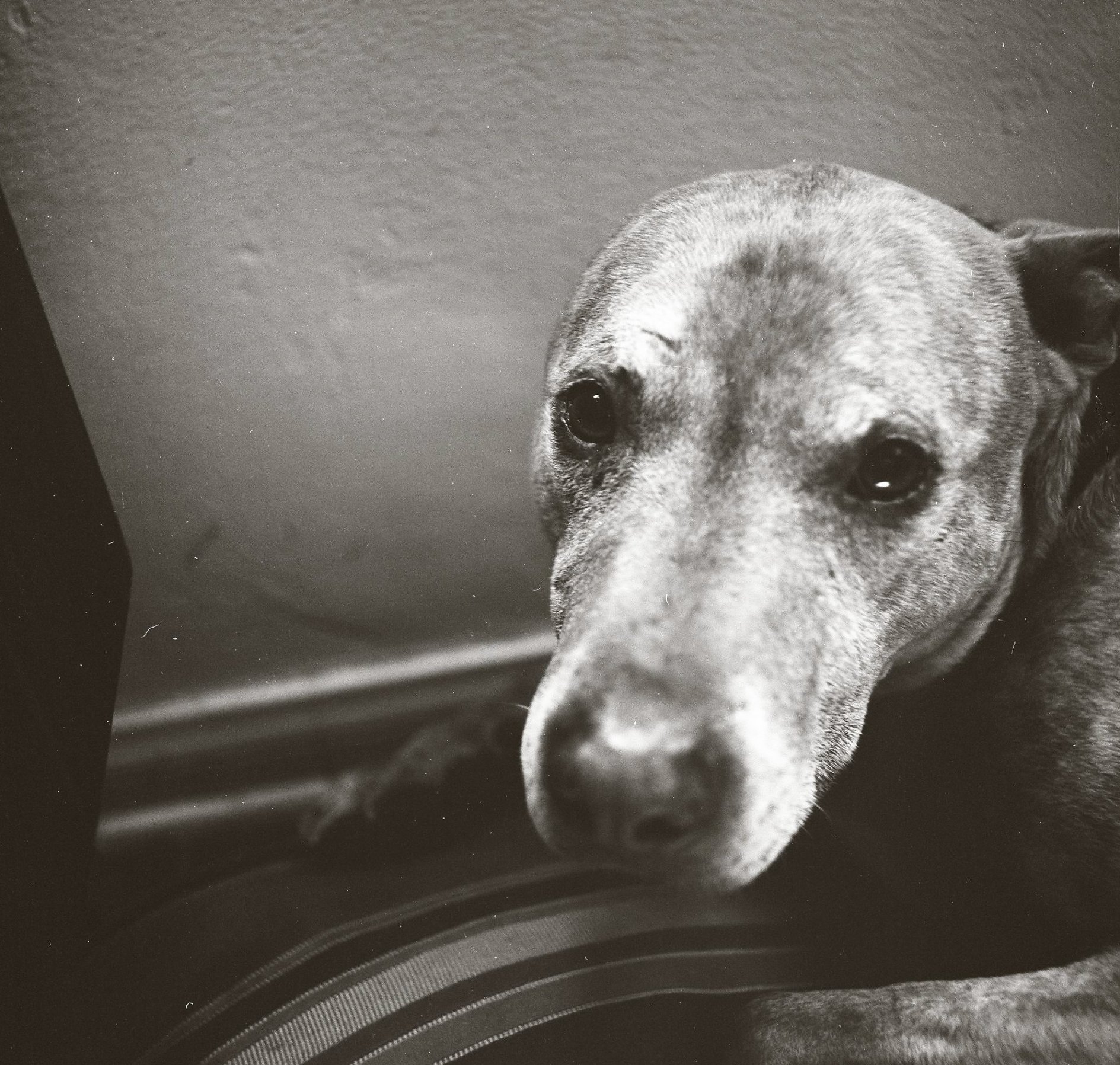 Фото - Мэттью Дэвис: 1889x1797 / 627 Кб