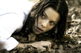 Фото - Лорен Джерман: 323x215 / 19 Кб