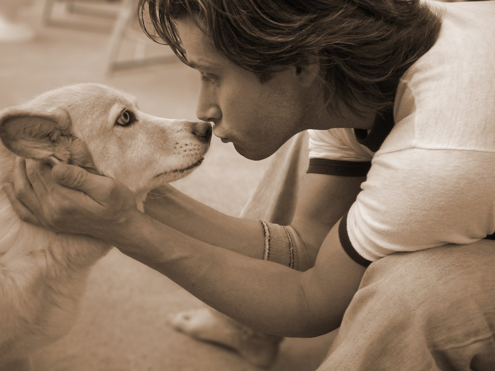 Фото - Marc Trottier: 1728x1296 / 247 Кб