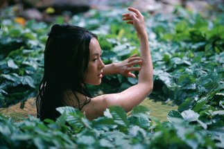 Фото - Чжан Цзыи: 323x215 / 22 Кб