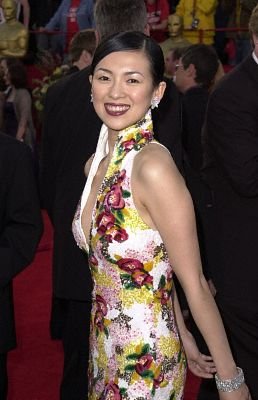 Фото - Чжан Цзыи: 258x400 / 25 Кб