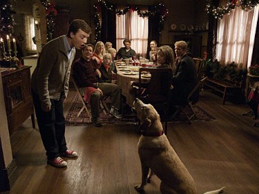 Фото - Ноэль Фишер: 375x281 / 30 Кб